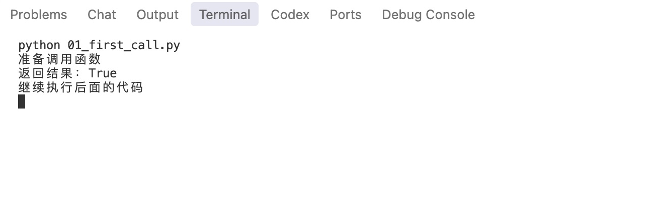 VS Code终端运行首次函数调用示例，依次显示调用前、返回True和继续执行