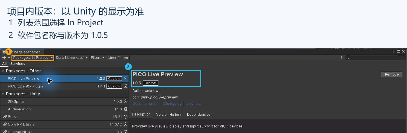 读取项目内 PICO Live Preview 的名称与 1.0.5 版本。已经存在时直接确认，避免重复添加。